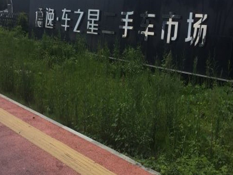 台州德逸车之星二手车交易市场-东1门