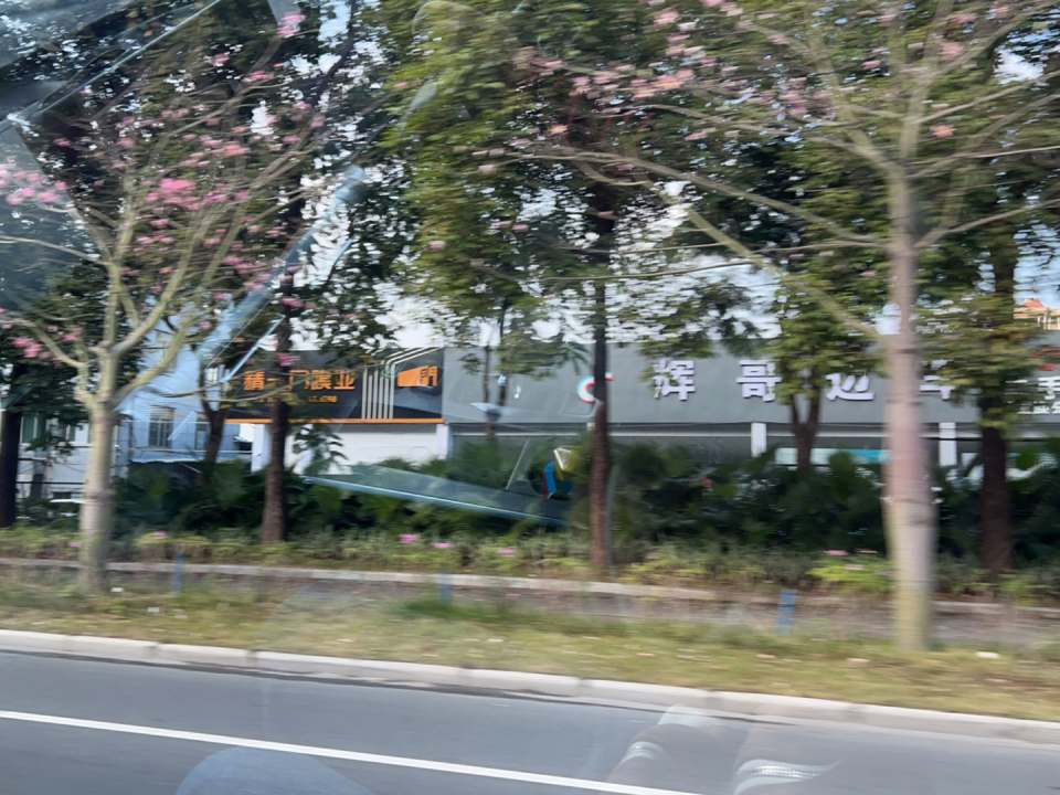 辉哥迈车二手车