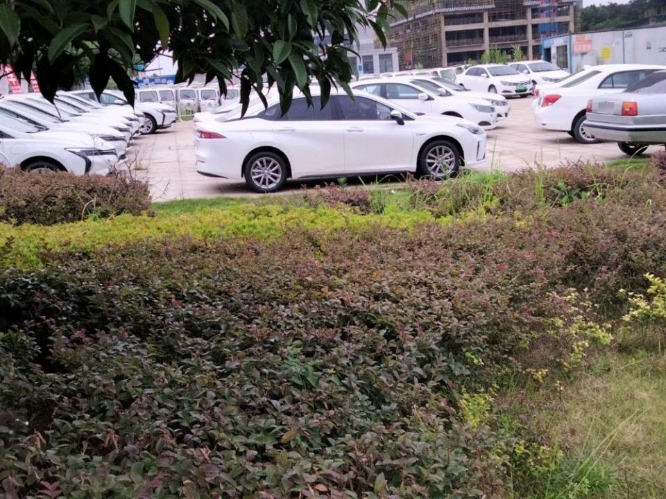 陆友二手车