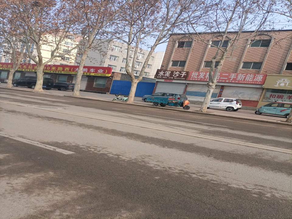 二手电动车市场