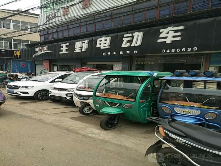 王野电动车(G318(旧)店)