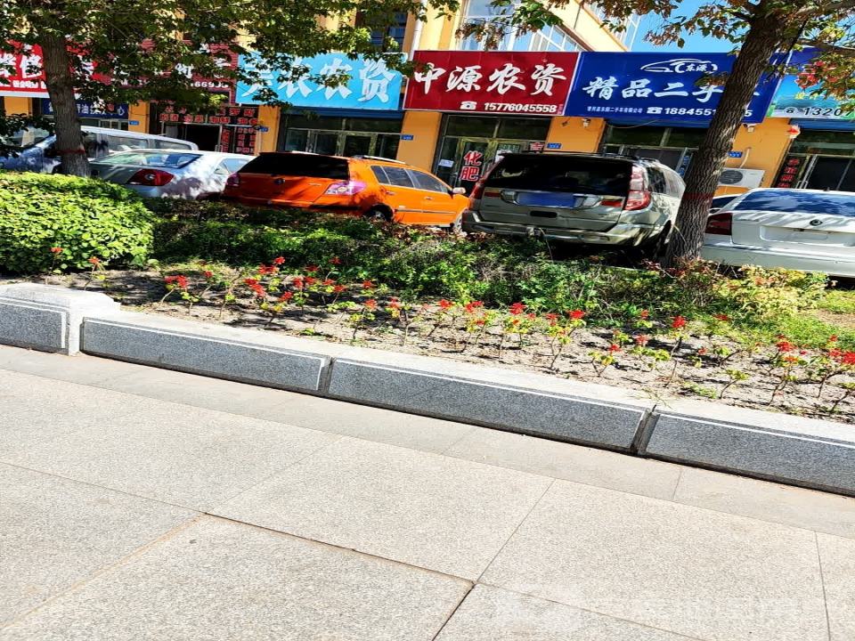 东园二手车有限公司