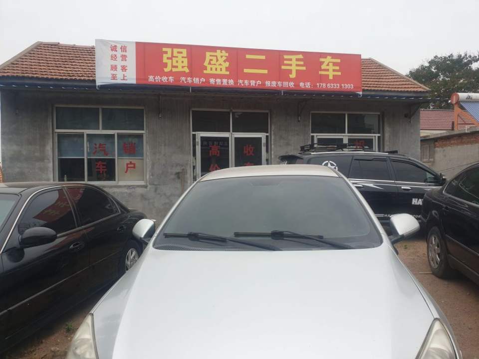 强盛二手车(桑园路)