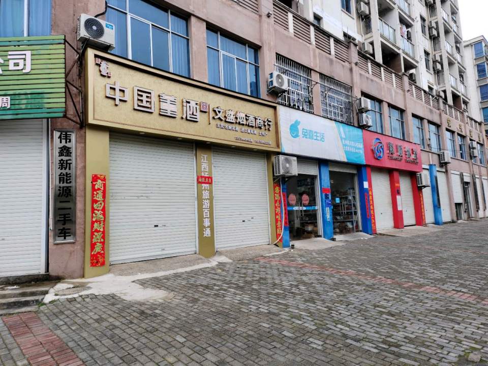 伟鑫新能源二手车