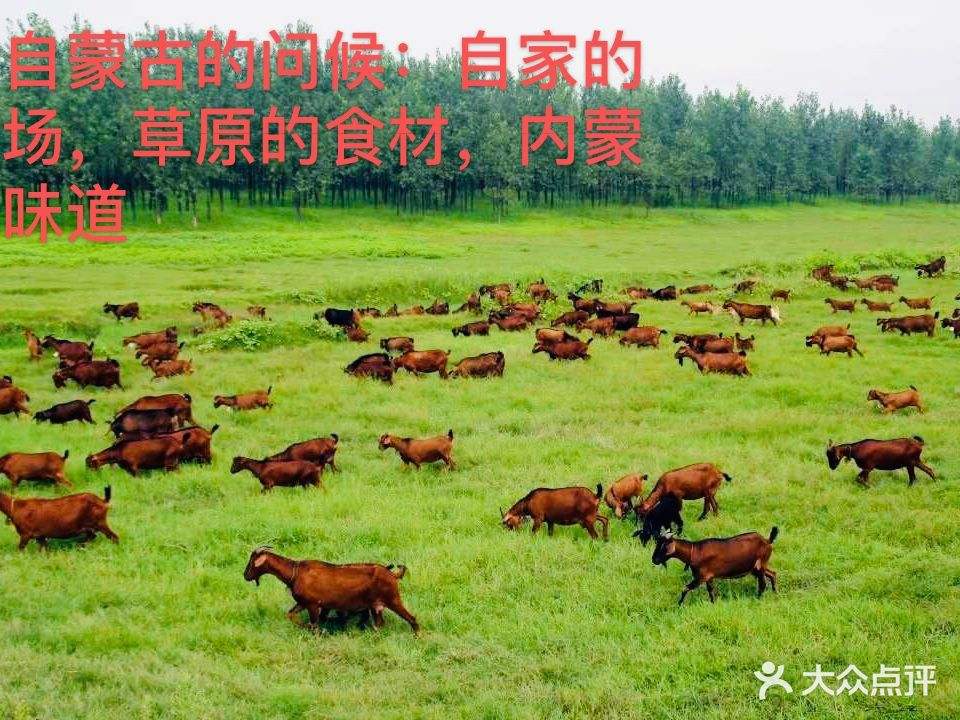 中原大占烤全羊(红谷滩店)