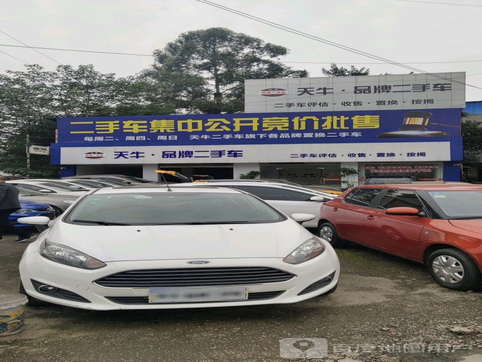 天牛品牌二手车
