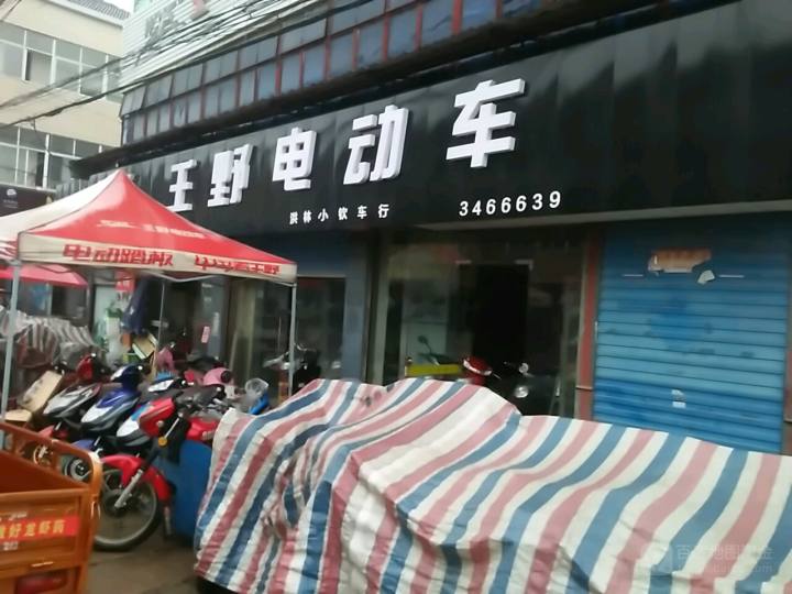 王野电动车(G318(旧)店)