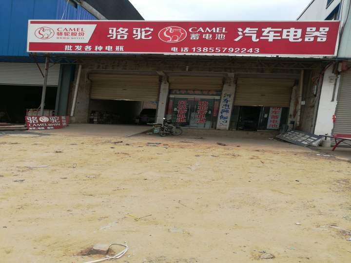 黄口骆驼蓄电池专卖店