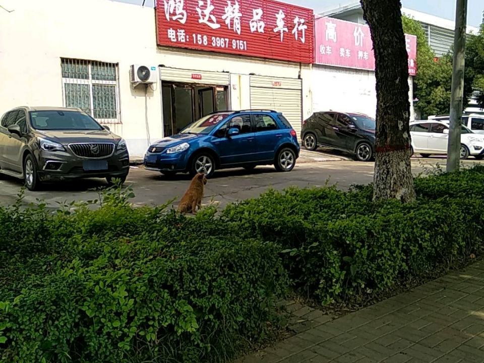 鸿达精品车行