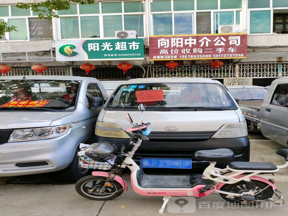 向阳中介公司