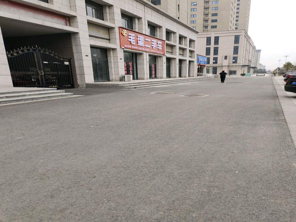 毛蛋二手车