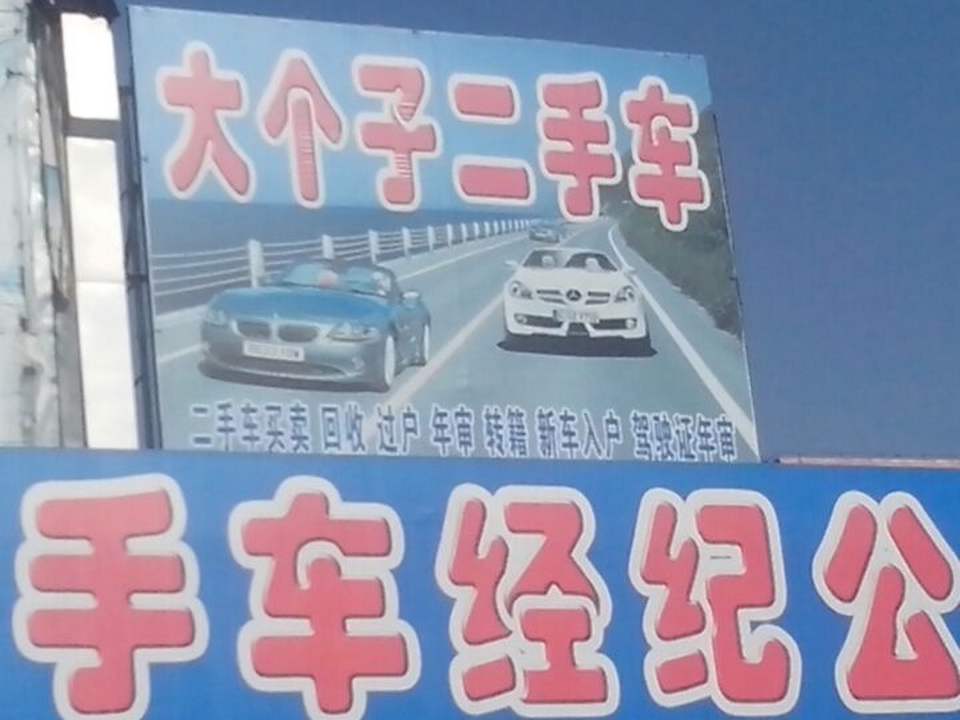 大个子二手车