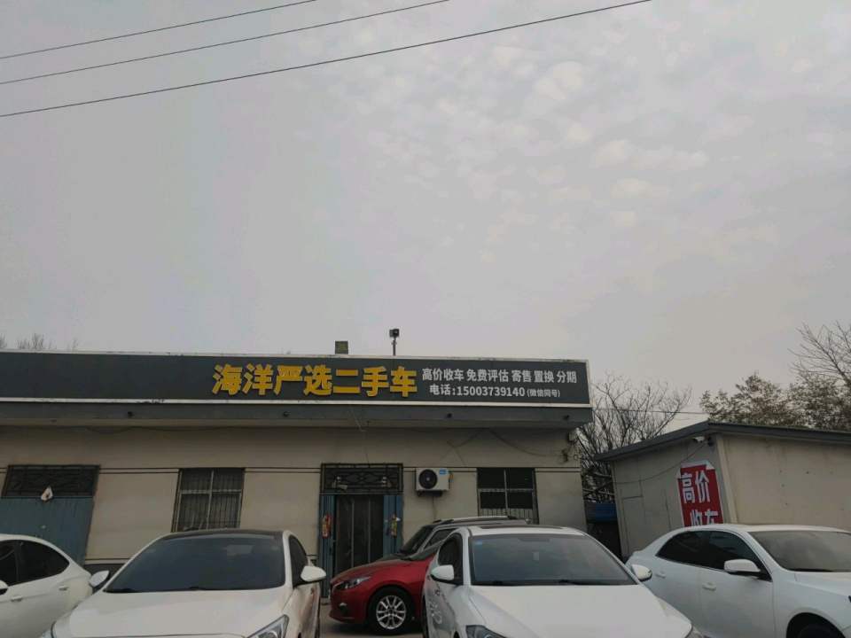 海洋精品二手车