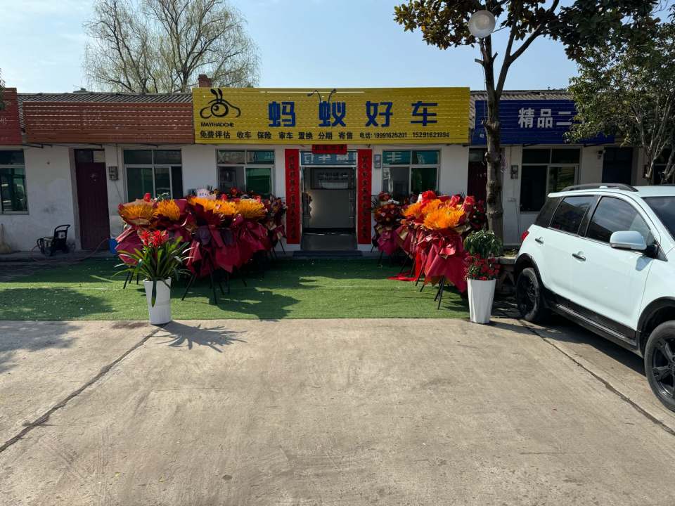 蚂蚁好车二手车