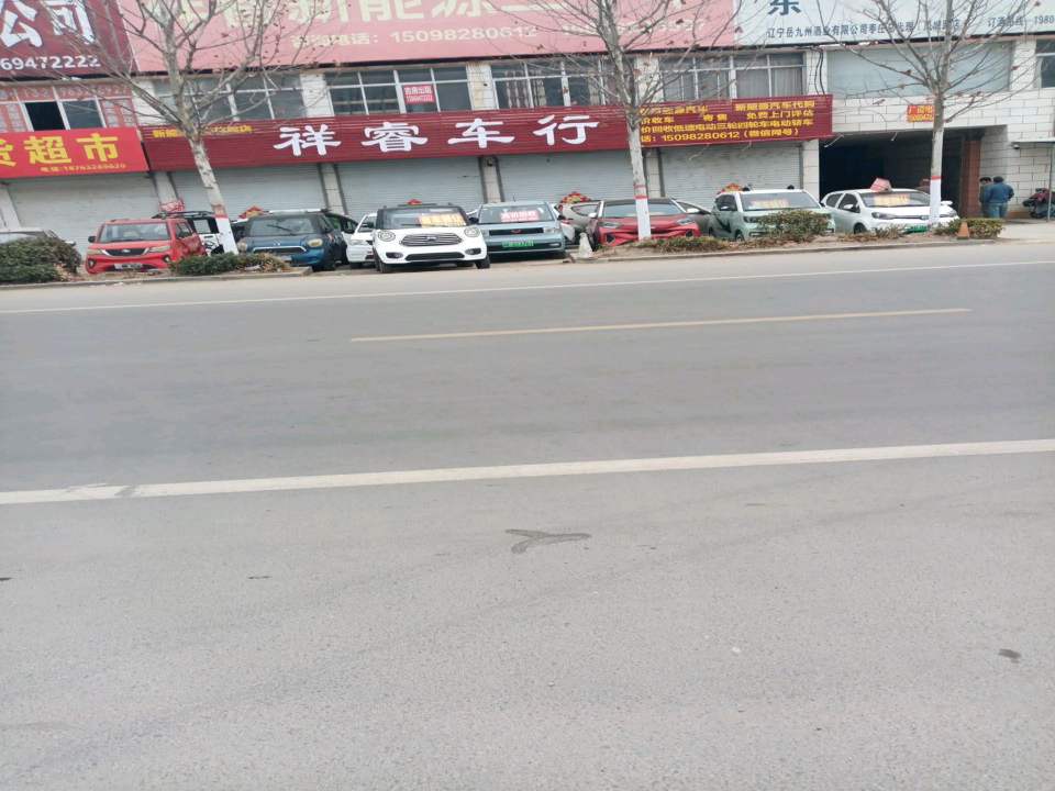 祥瑞新能源二手车