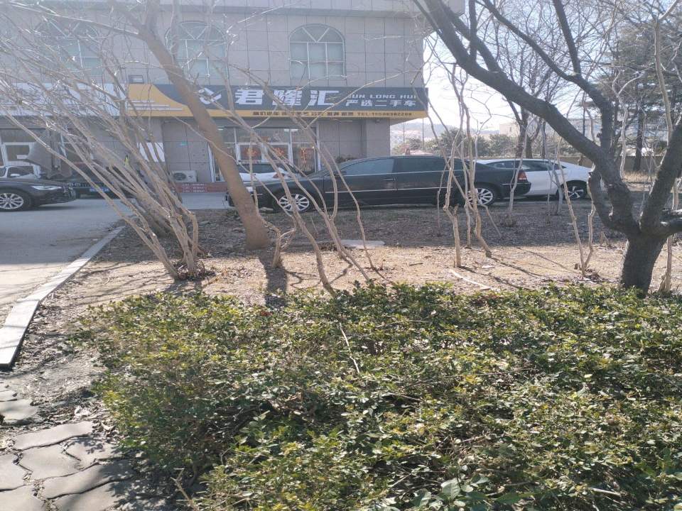 君隆汇严选二手车