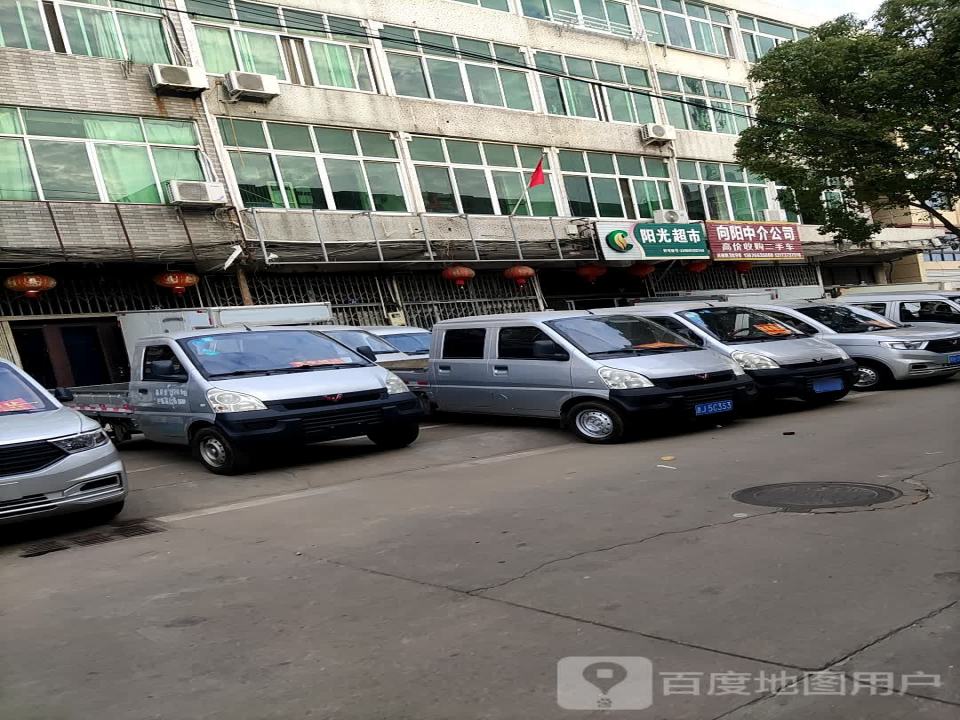 向阳中介公司