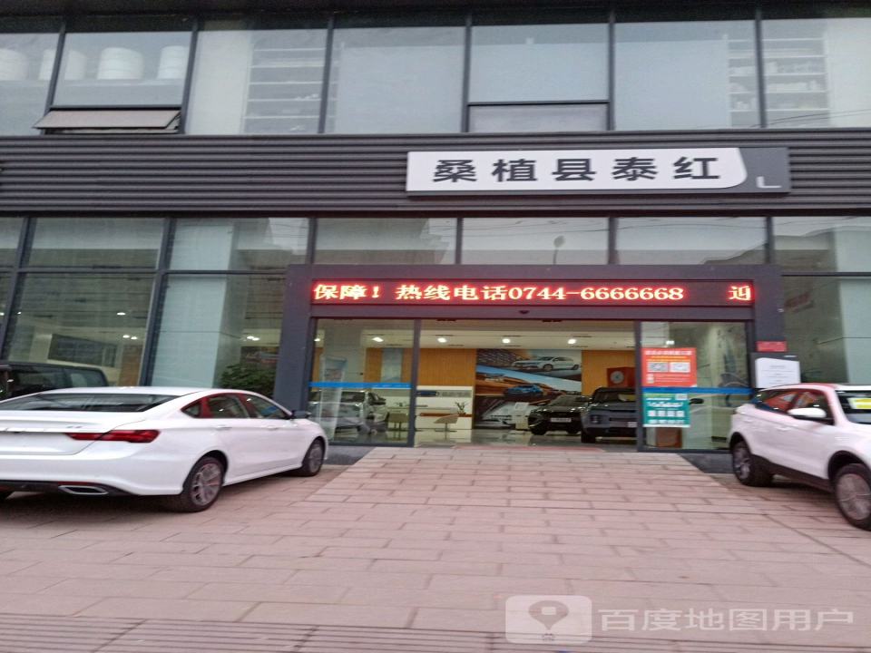 桑植县泰红