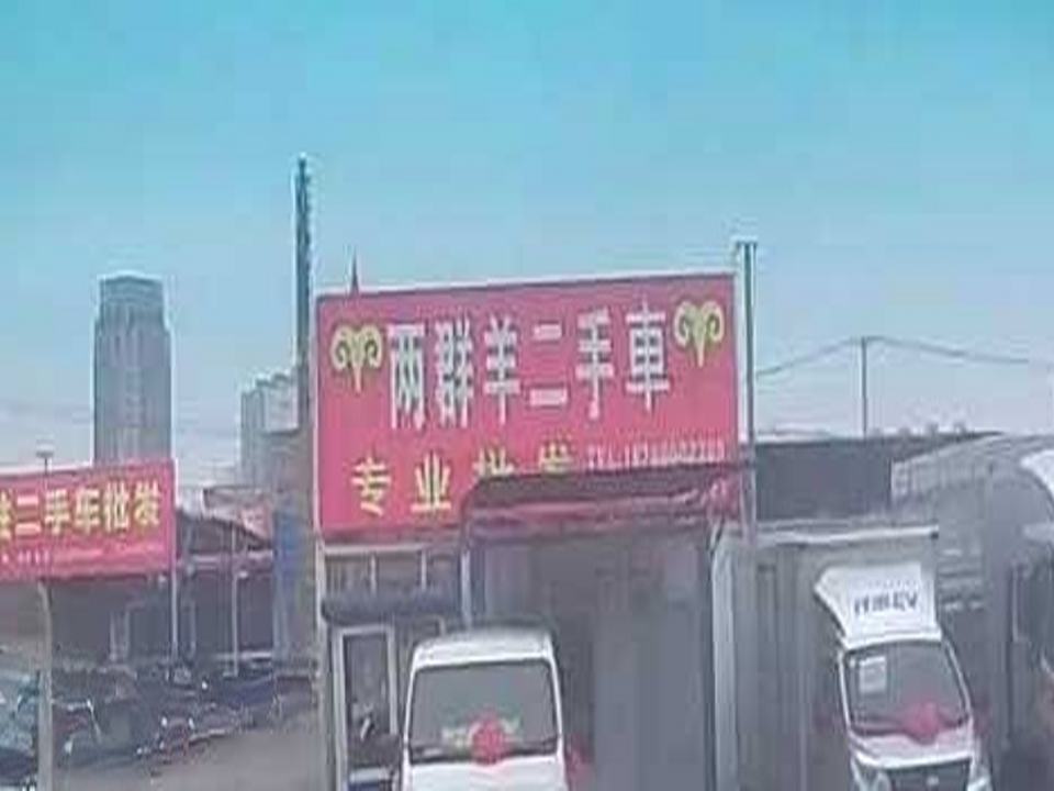 两群羊二手车
