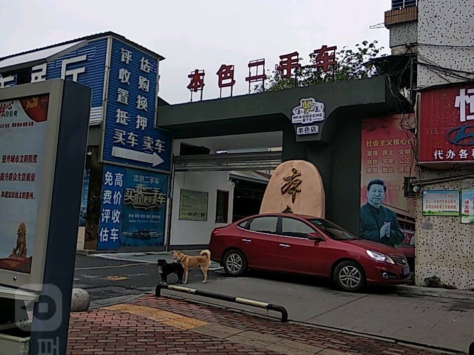 本色二手车