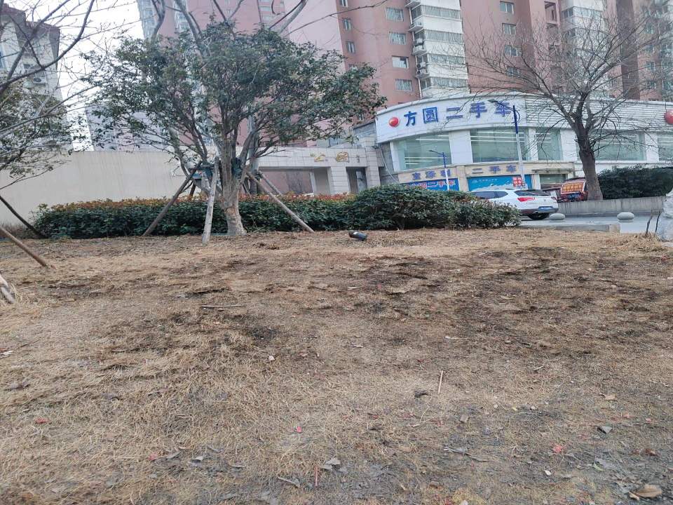 方圆二手车