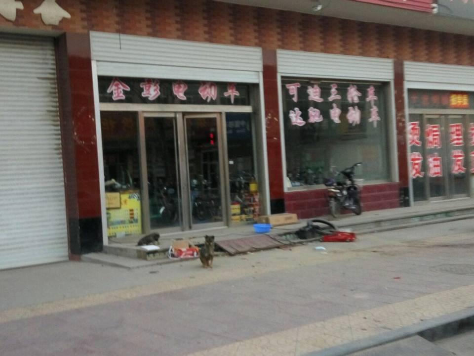 诚信车行(中心大街店)