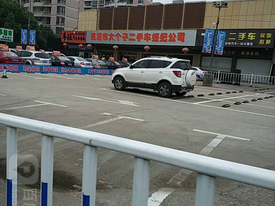 大个子二手车